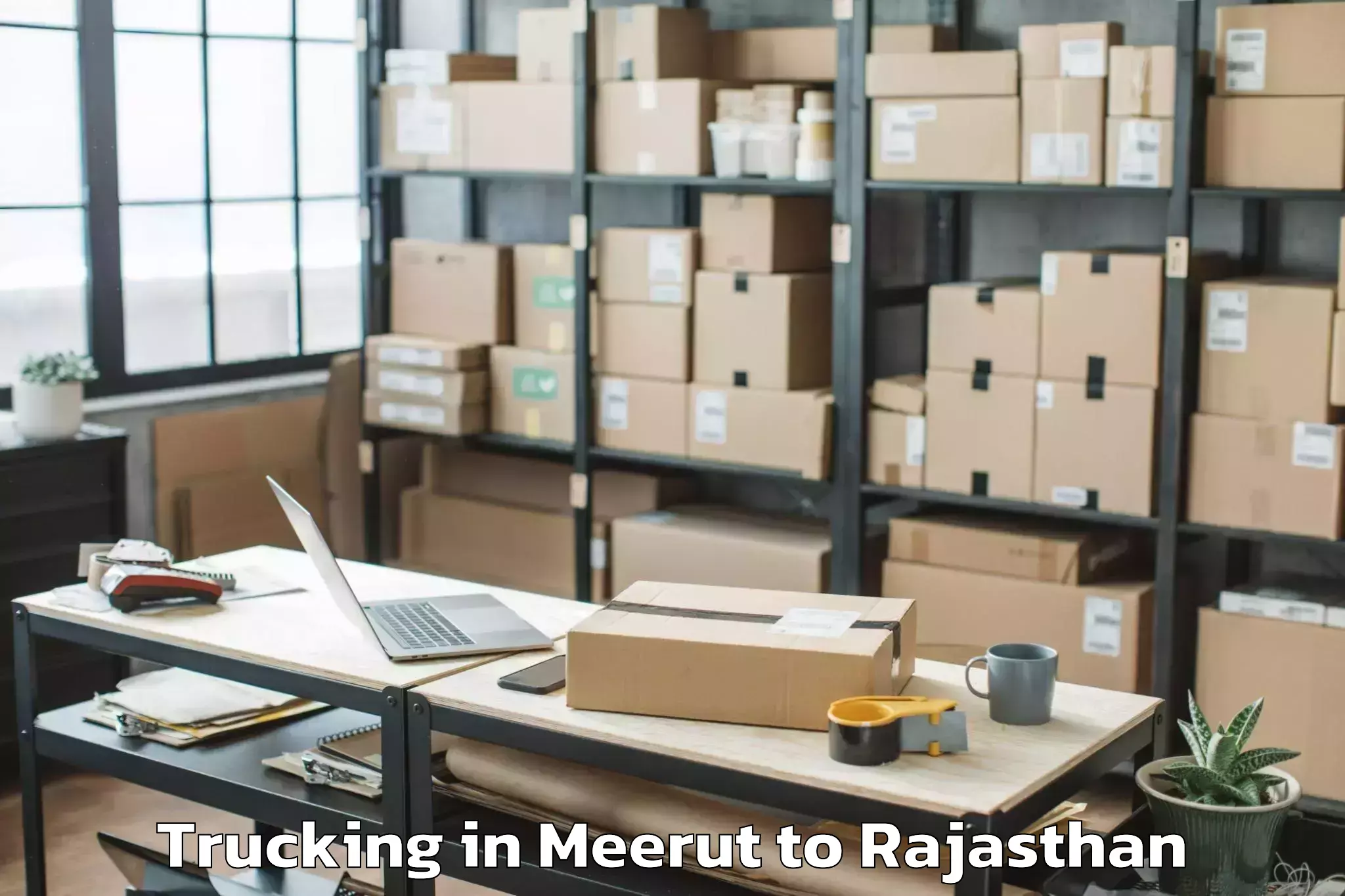 Book Meerut to Maharaja Ganga Singh Universit Trucking Online